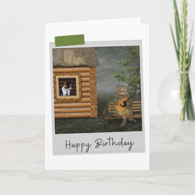 Guitar Serenade Cats Funny Birthday Card Karte (Vorderseite)