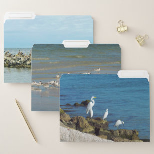 Gulast Coast Birds File Folder Papiermappe