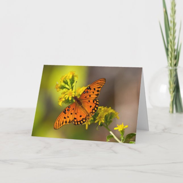 Gulf Fritillary aka Passion Butterfly on Goldenrod Karte (Vorderseite)