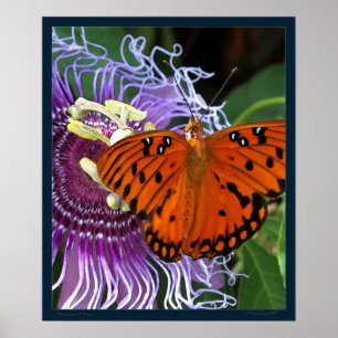 Gulf Fritillary Art Print -20x24 - oder kleiner Poster