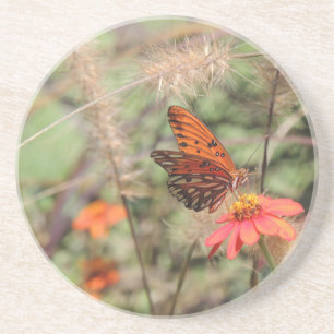 Gulf-Fritillary auf Zinnia Untersetzer