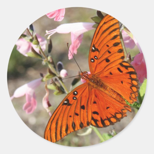 Gulf Fritillary Butterfly Stickers (Vorderseite)