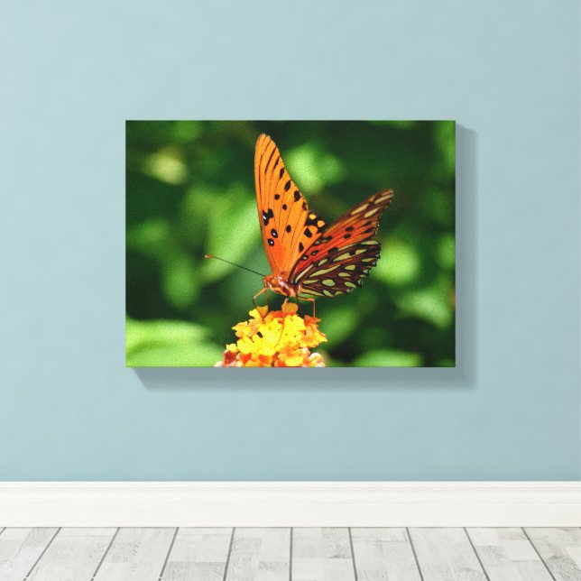 Gulf fritillary Butterfly Stretched Canvas Print Leinwanddruck (Insitu (Holzboden))