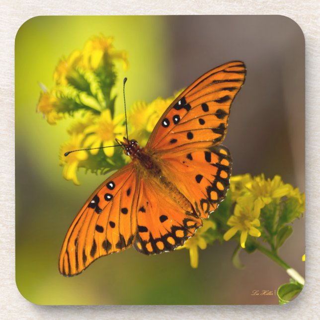 Gulf-Fritillary oder Passionsfalter auf Goldrute Getränkeuntersetzer (Vorderseite)