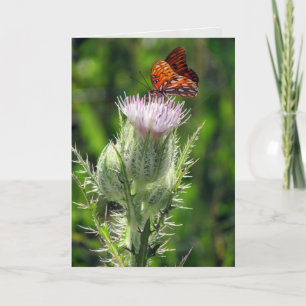 Gulf Fritillary on Thistle Blume Birthday Card Karte