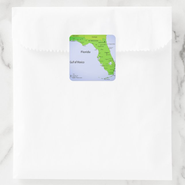 GULF OF MEXICO QUADRATISCHER AUFKLEBER (Tasche)