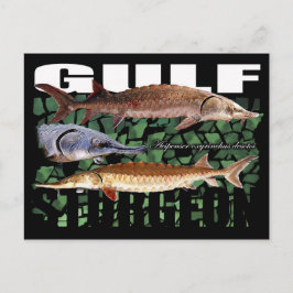 Gulf Sturgeon-Collage-Postcard Postkarte