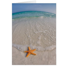 Gulinsel National Seashore Note Card