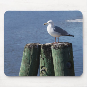 Gull auf Pilings Mousepad