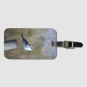 Gull auf Post Gepäckanhänger