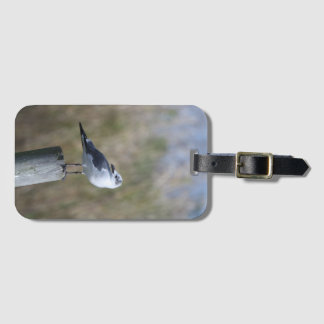 Gull auf Post Gepäckanhänger