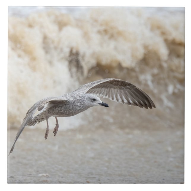 Gull Bird Flying Fliese (Vorderseite)