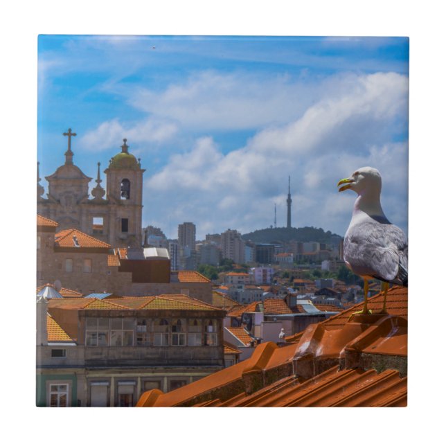 Gull Birds Eye View Rooftops von Portugal Fliese (Vorderseite)