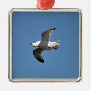 Gull Flying Down Funny Wildlife Fotografy Silbernes Ornament