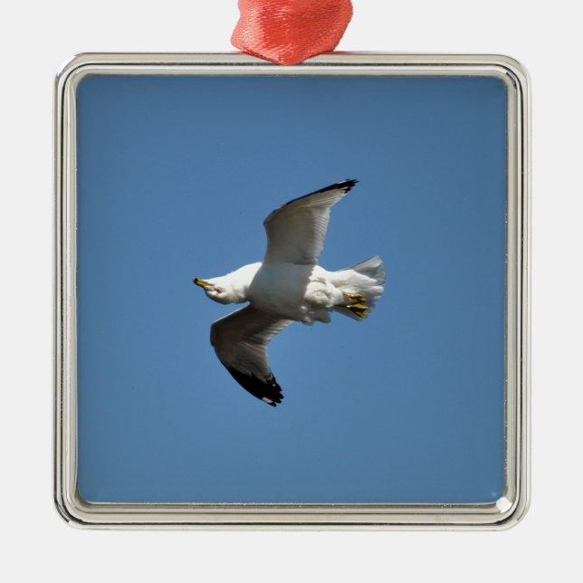 Gull Flying Down Funny Wildlife Fotografy Silbernes Ornament (Vorne)