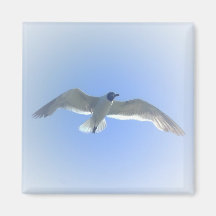 Gull in Flug 2 Magnet