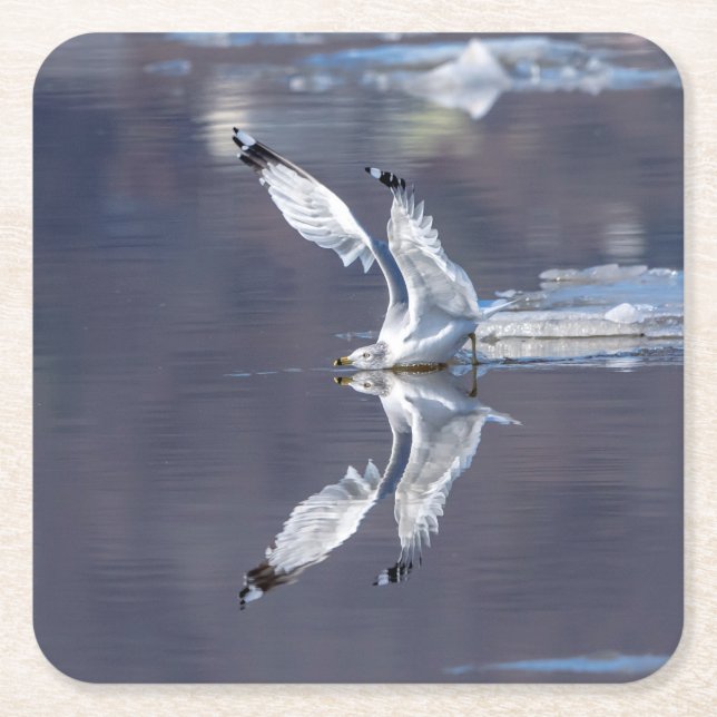 Gull-Reflektionen Rechteckiger Pappuntersetzer (Vorderseite)