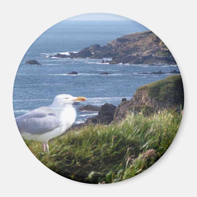 GullCoast Magnet (Vorne)