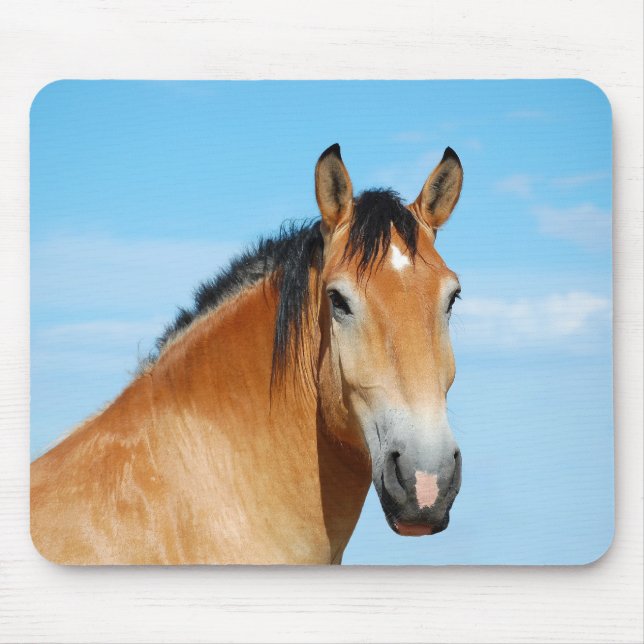 Gulliver Headshot Mousepad (Vorne)