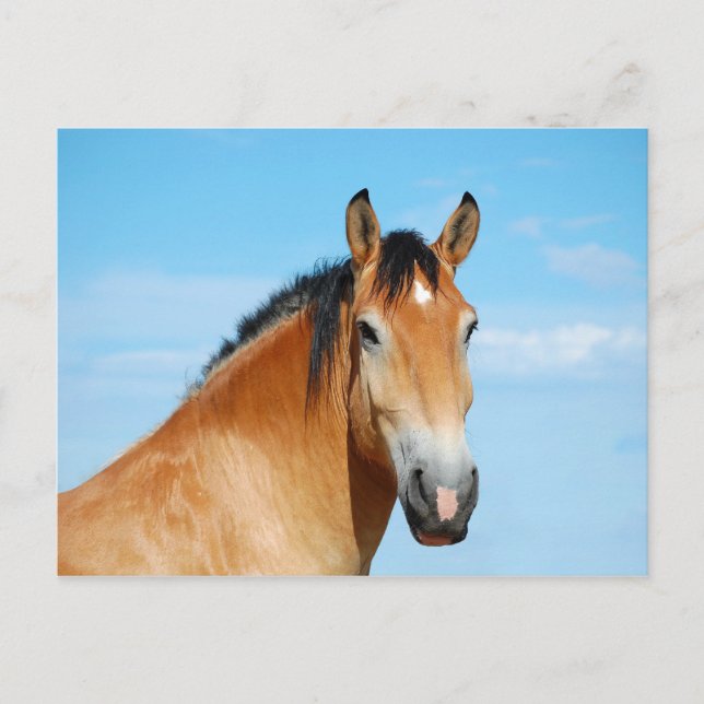 Gulliver Headshot Postcard Postkarte (Vorderseite)