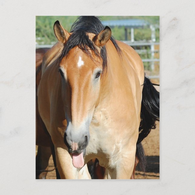 Gulliver Tongue Out Postcard Postkarte (Vorderseite)