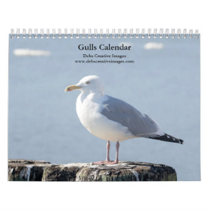 Gulls 2025 kalender