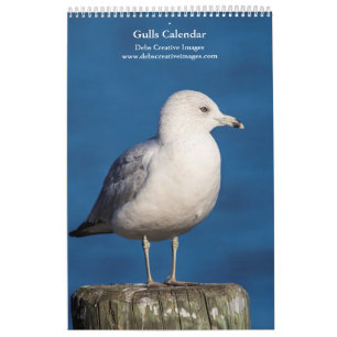 Gulls 2026 kalender