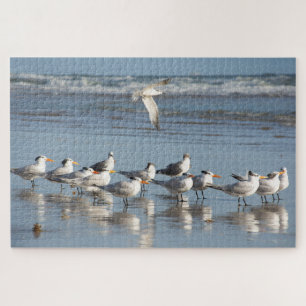 Gulls am Strand von Florida Puzzle