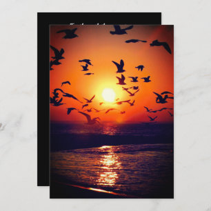 Gulls bei Sonnenuntergang Foto Orange und Black We Einladung