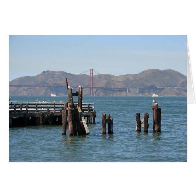 Gulls in San Francisco Bay Pier (Vorderseite (Horizontal))
