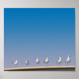 Gulls Poster
