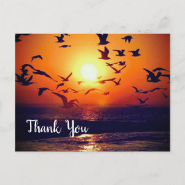 Gulls Silhouetted by Orange Sunset Vielen Dank Postkarte