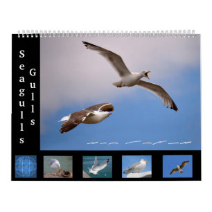 Gulls und Seagulls 12 Monate Kalender