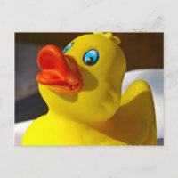 Gummi Duck