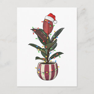 Gummibaum Ficus Santa Hut Weihnachtsbeleuchtung Feiertagspostkarte