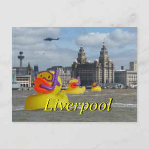 Gummienten auf dem Mersey Postkarte