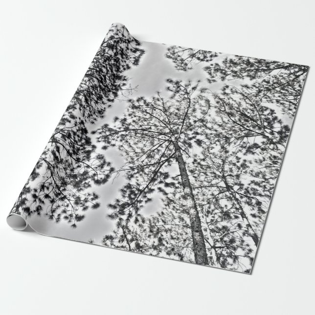 Gumtree Packpapier (Ungerollt)