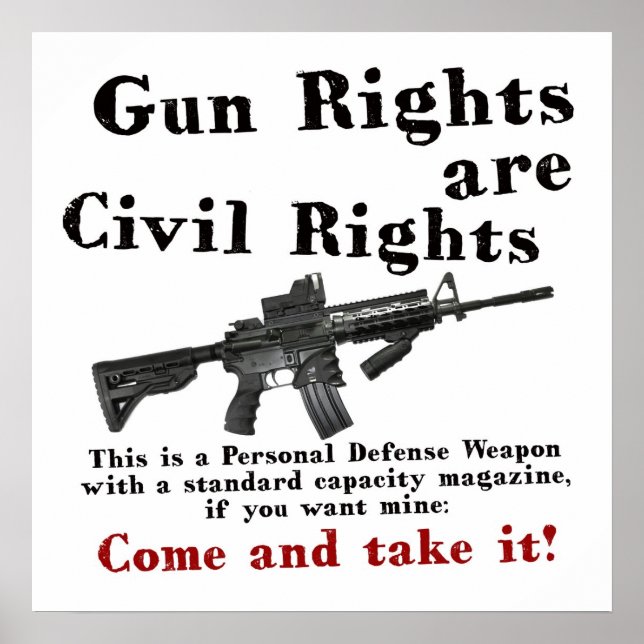 Gun Rights Poster (Vorne)
