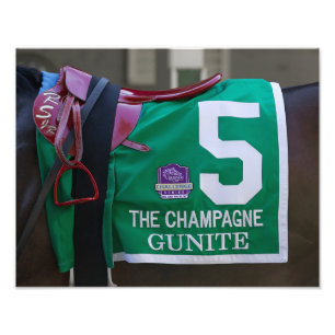 Gunite Saddlecloth Foto Print