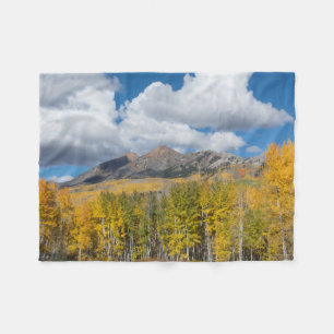 Gunnison National Forest, Colorado Fleecedecke