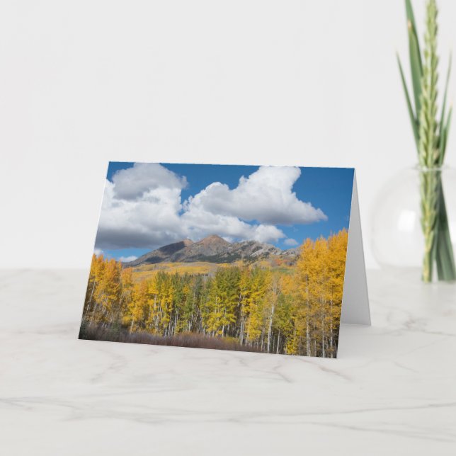 Gunnison National Forest, Colorado Karte (Vorderseite)