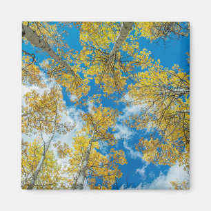 Gunnison National Forest Colorado Magnet