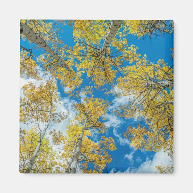 Gunnison National Forest Colorado Magnet (Vorne)