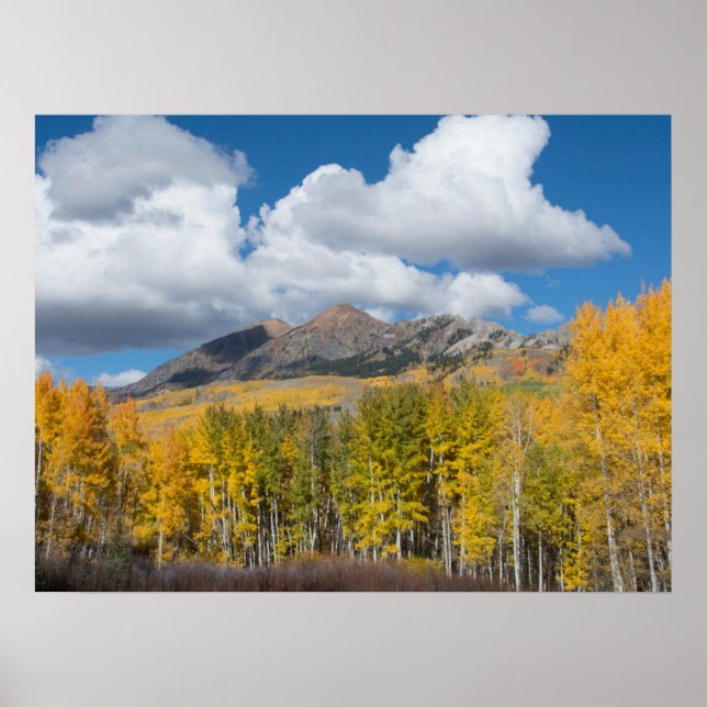 Gunnison National Forest, Colorado Poster (Vorne)