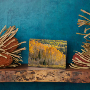 Gunnison National Forest Fotoplatte