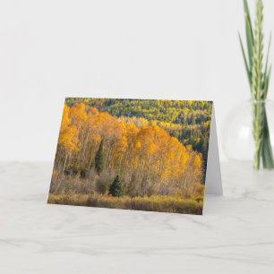 Gunnison National Forest Karte