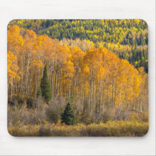 Gunnison National Forest Mousepad