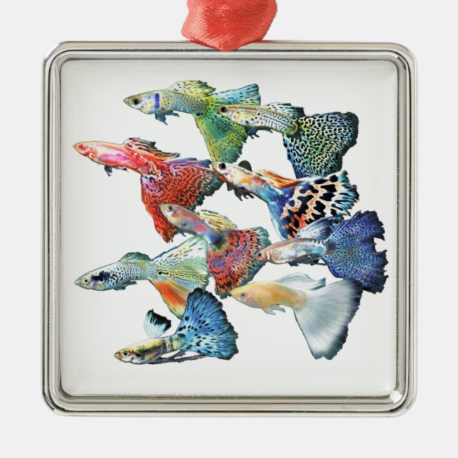 Guppies Silbernes Ornament (Vorne)