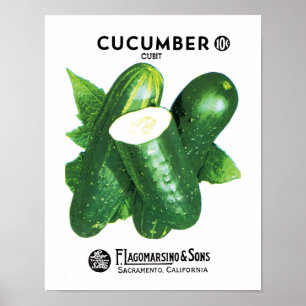 Gurken-Samenpackungsetikett Poster