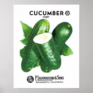 Gurken-Samenpackungsetikett Poster